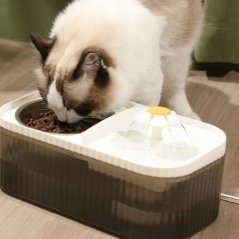 Automatická miska s fontánou